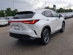 2025 Lexus NX 250 Base