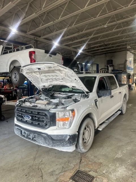 2021 Ford F-150 XL