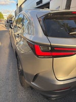 2024 Lexus NX 250 Base