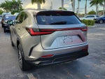 2024 Lexus NX 250 Base