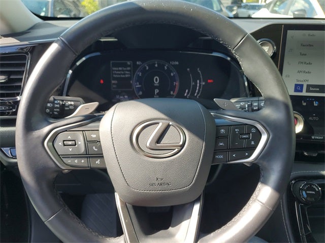 2025 Lexus NX 250 Premium