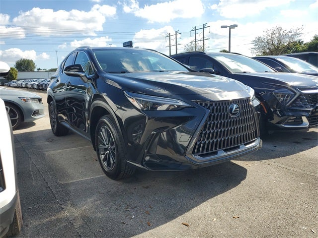 2025 Lexus NX 250 Premium