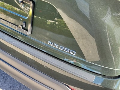 2024 Lexus NX 250 Premium