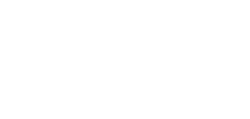 Presidents Award